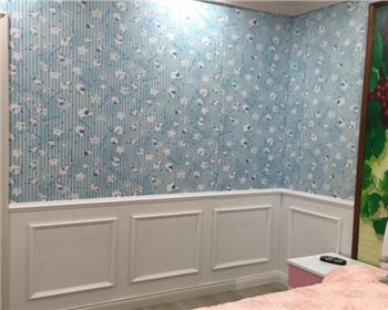 壁虎快板適用于哪些地方？